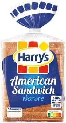American Sandwich Nature
